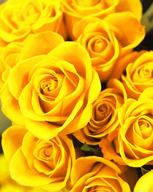 Yellow Roses New Painting By Numberss.png