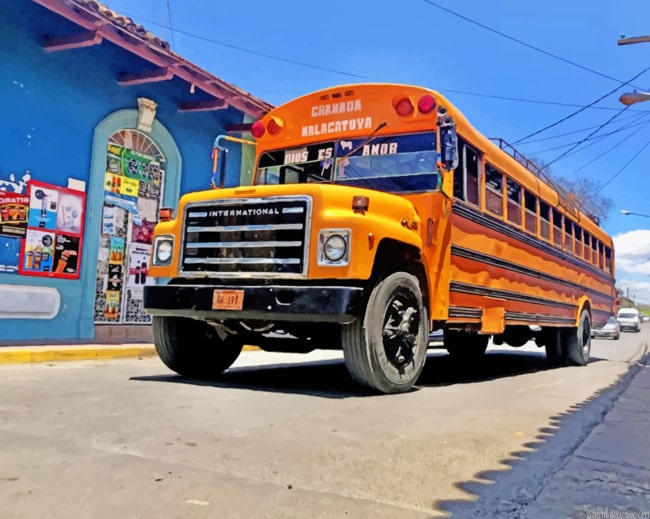 Yellow School Bus New Painting By Numberss.png
