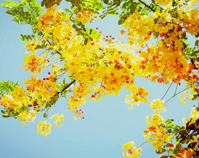 Yellow Spring Flowers New Painting By Numberss.png