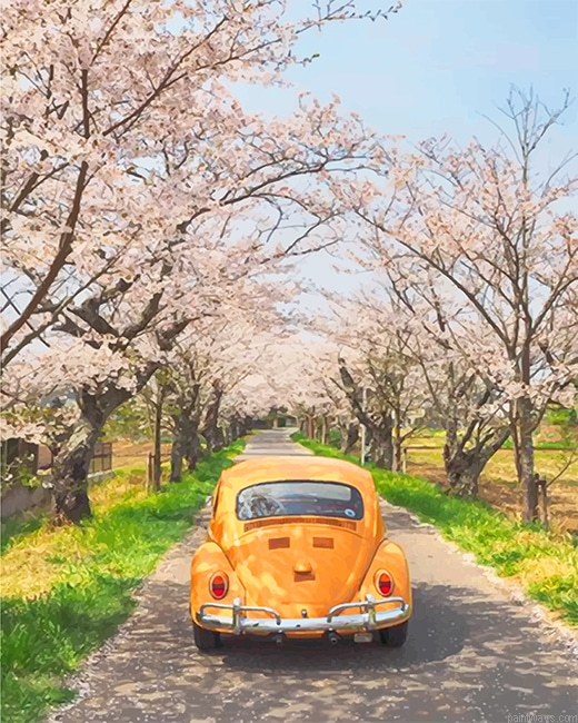 Yellow Vw And Cherry Blossom New Painting By Numberss.png