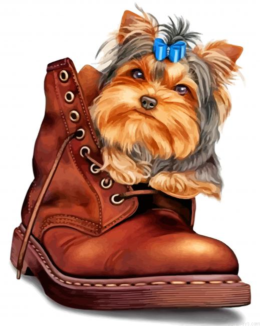 Yorkie In A Boot Painting By Numbers.png