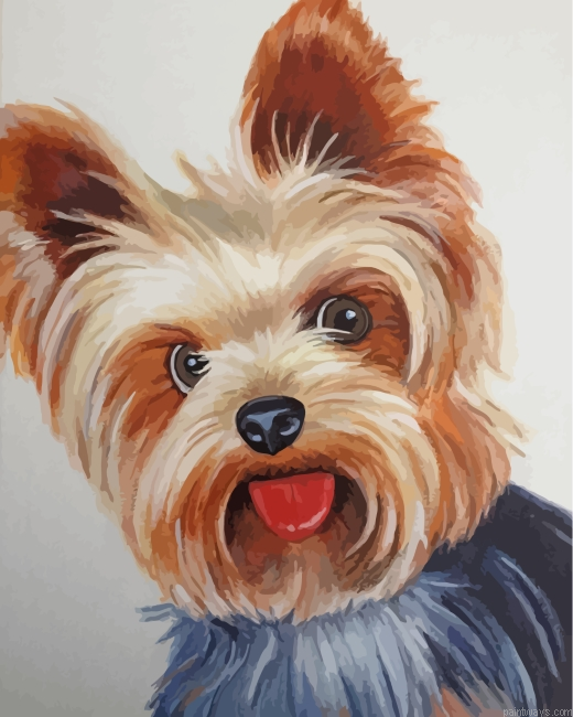 Yorkshire Terrier Dog Painting By Numbers.png
