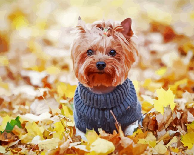 Yorkshire Terrier Painting By Numberss.png