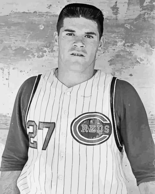 Young Pete Rose Painting By Numberss.png