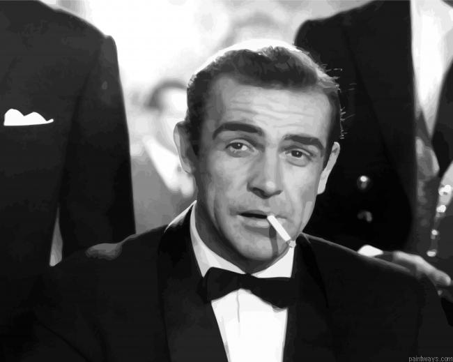 Young Sean Connery In Black And White Painting By Numberss.png