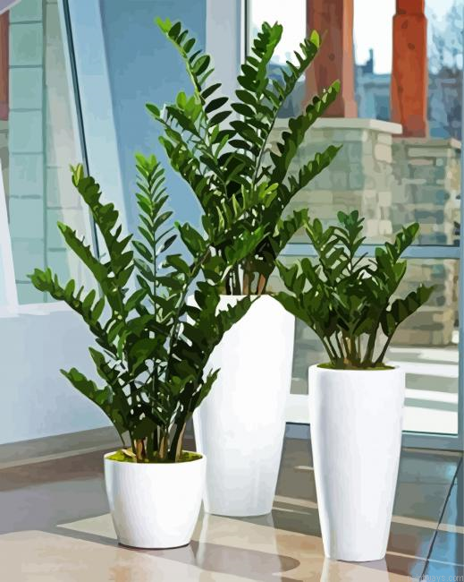 Zamioculcas Plants In Pots Painting By Numberss.png