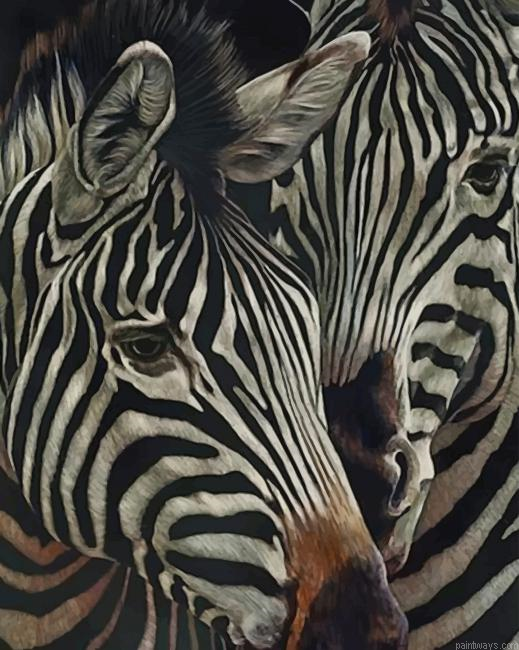 Zebra Animals New Painting By Numberss.png