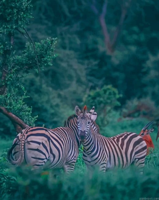 Zebra Donkeys In The Forest Animals Painting By Numberss.png